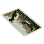 素晴らしAuk - John James Audubon's Birds of America マグネット (右側)