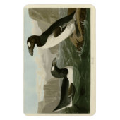 素晴らしAuk - John James Audubon's Birds of America マグネット (縦)