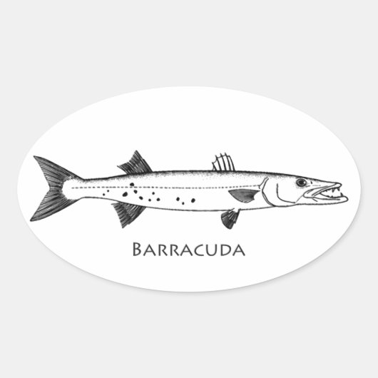 素晴らしBarracudaロゴ 楕円形シール (正面)