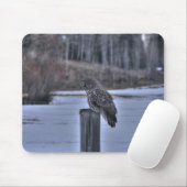 素晴らしGrey Owl on Fence Post Winter Wildlife写真 マウスパッド (マウス)