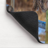 素晴らしGrey Owl on Fence Wildlife Raptor写真 マウスパッド (コーナー)