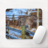 素晴らしGrey Owl on Fence Wildlife Raptor写真 マウスパッド (マウス)