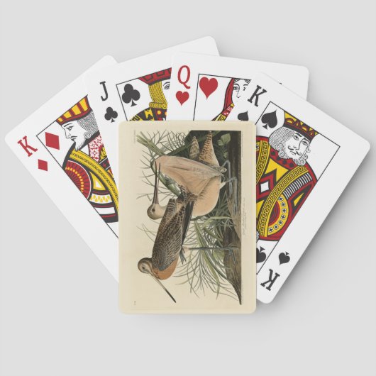 素晴らしMarbled Godwit - Audubon's Birds of America トランプ (裏面)