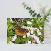 素晴らしMountain LaurelのSpangled Fritillery (スタンド正面)