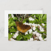 素晴らしMountain LaurelのSpangled Fritillery (正面/裏面)