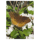 素晴らしMountain LaurelのSpangled Fritillery クリップボード (裏面)