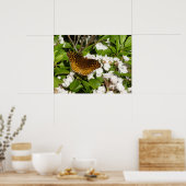 素晴らしMountain LaurelのSpangled Fritillery ポスター (キッチン)