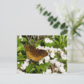 素晴らしMountain LaurelのSpangled Fritillery ポストカード (スタンド正面)