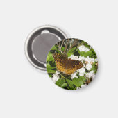 素晴らしMountain LaurelのSpangled Fritillery マグネット (正面/裏面)