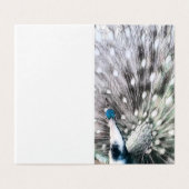 素晴らしPied Peacock – ギフト空白のラベルセット (外部フラット)