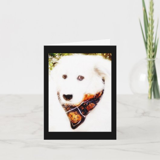 素晴らしPyrハロウィーンカード カード (正面)