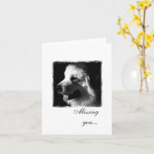 素晴らしPyrenees Black and White Photo products カード (黄色い花)