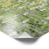 素晴らしRoadrunner, Geococcyx californianus, フォトプリント (角)