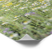 素晴らしRoadrunner, Geococcyx californianus, ポスター (角)