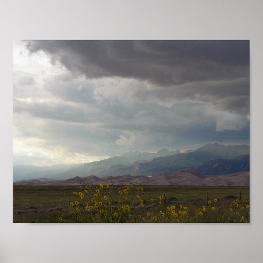 素晴らしSand Dunes National Park & Preserve, CO ポスター (正面)