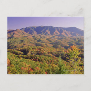 素晴らしSmoky Mountains NP,テネシー,アメリカ ポストカード