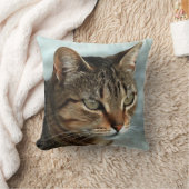 素晴らしTabby Catクローズアップ芸術的ポートレート クッション (ブランケット)