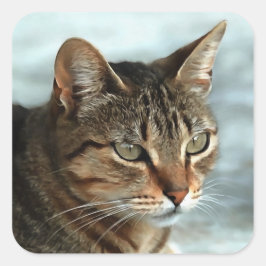 素晴らしTabby Catクローズアップ芸術的ポートレート スクエアシール