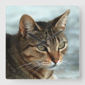 素晴らしTabby Catクローズアップ芸術的ポートレート スクエア壁時計 (正面)