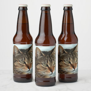 素晴らしTabby Catクローズアップ芸術的ポートレート ビールラベル
