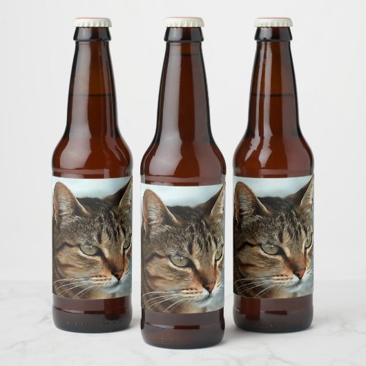 素晴らしTabby Catクローズアップ芸術的ポートレート ビールラベル (ボトル)