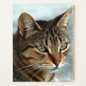 素晴らしTabby Catクローズアップ芸術的ポートレート プランナー手帳 (裏面)