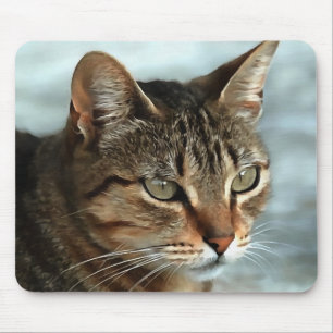 素晴らしTabby Catクローズアップ芸術的ポートレート マウスパッド