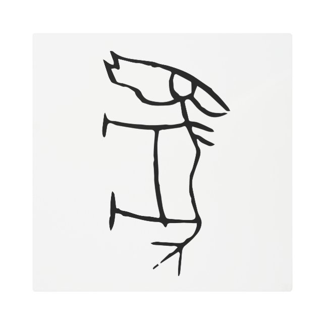 素晴中国のらしい〔占星術の〕十二宮図馬#001- メタルプリント (正面)