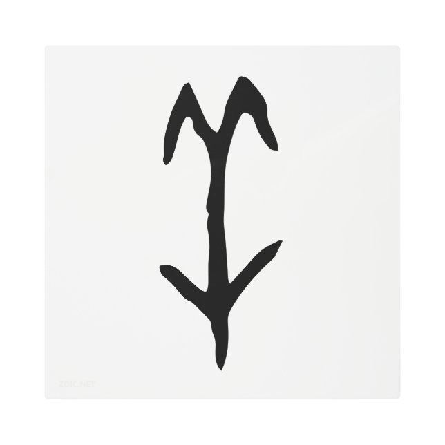 素晴中国のらしい〔占星術の〕十二宮図 – ヤギ#001- メタルプリント (正面)