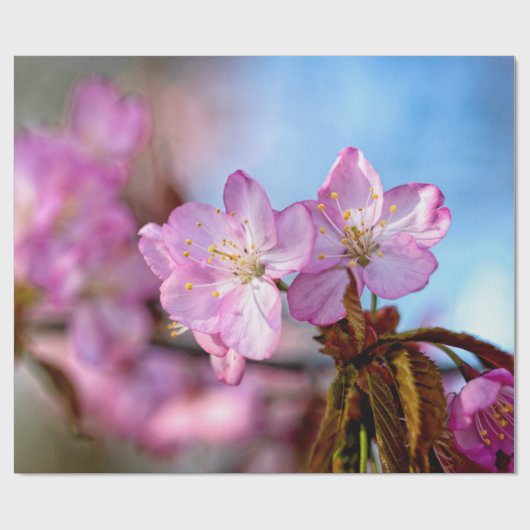 素晴素晴らしらしい桜の花 ラッピングペーパー (フラット)