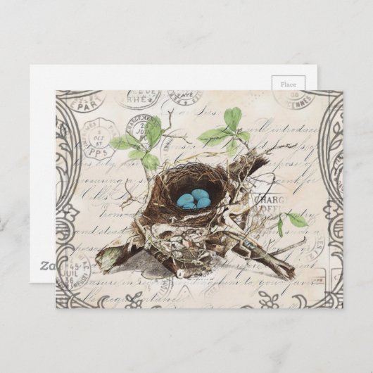 素朴でシックフランスのな田舎の植物性の鳥の巣 ポストカード (正面/裏面)