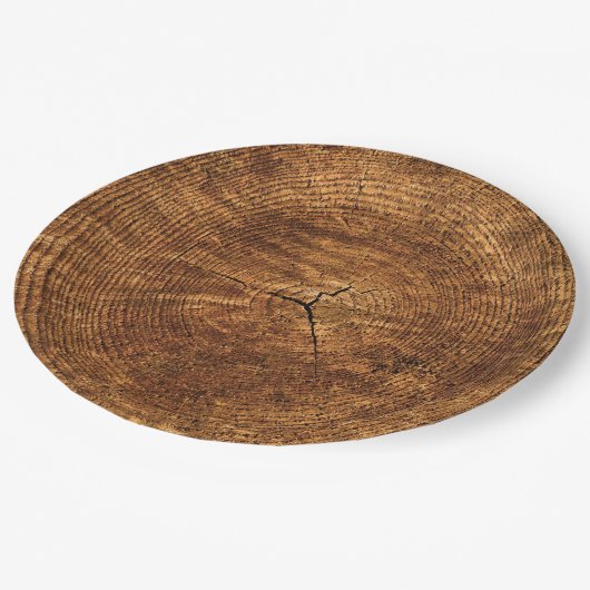 素朴でフェイクな木製のトランクの使い捨て可能な紙皿 ペーパープレート (アングル)
