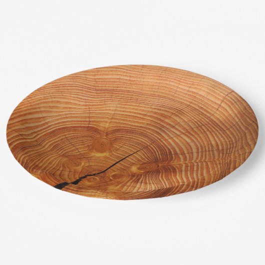 素朴でフェイクな木製の穀物の使い捨て可能な紙皿 ペーパープレート (アングル)