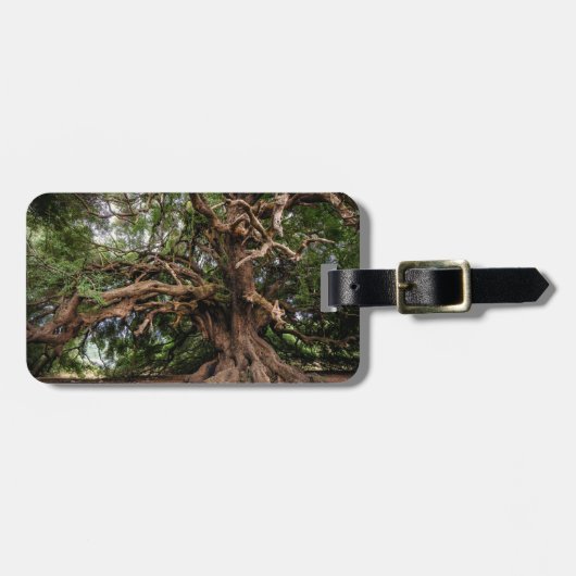 素朴で古いオリーブ ラゲッジタグ (正面横)