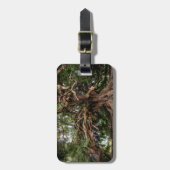 素朴で古いオリーブ ラゲッジタグ (正面縦)