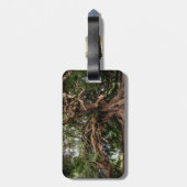 素朴で古いオリーブ ラゲッジタグ (裏面縦)