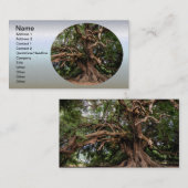 素朴で古いオリーブ 名刺 (正面/裏面)