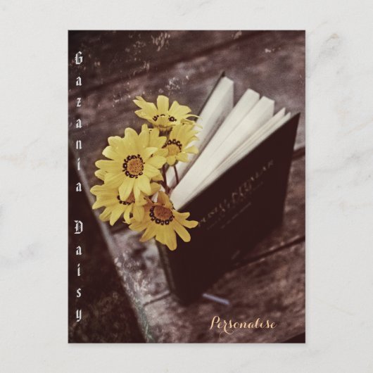 素朴なアフリカの黄色のデイジー花のブックマーク フローラル ポストカード (正面)