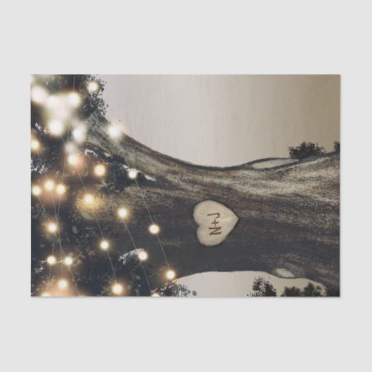 素朴なカントリーツリーとライトのモダンな納屋での結婚式 薄葉紙 (正面)