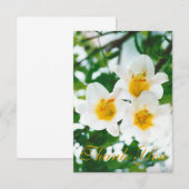 素朴なホワイトユリ - Lilium candidum サンキューカード (正面/裏面)