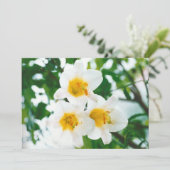 素朴なホワイトユリ - Lilium candidum 招待状 (スタンド正面)