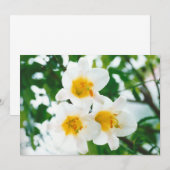 素朴なホワイトユリ - Lilium candidum 招待状 (正面/裏面)