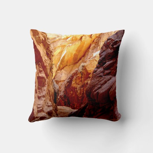 素朴な南西スロット渓谷のネバダの正方形の枕 クッション (裏面)