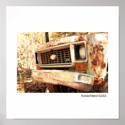 素朴な友人 ポスター (正面)