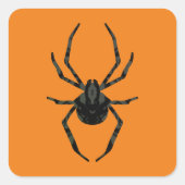 素朴な古いクモ スクエアシール (正面)