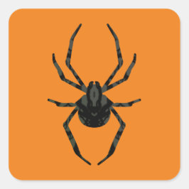 素朴な古いクモ スクエアシール