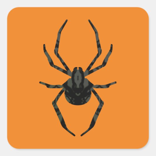 素朴な古いクモ スクエアシール (正面)