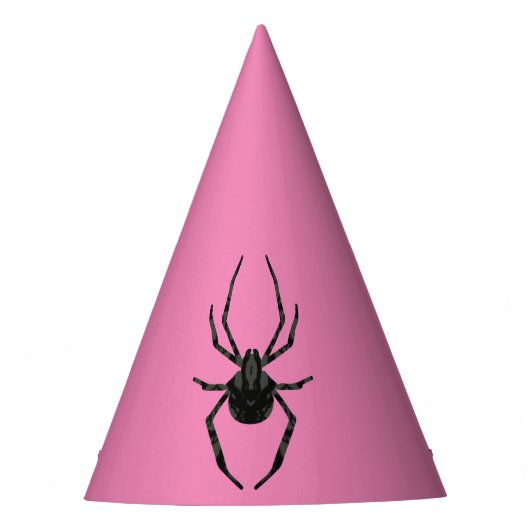 素朴な古いクモ パーティーハット (正面)