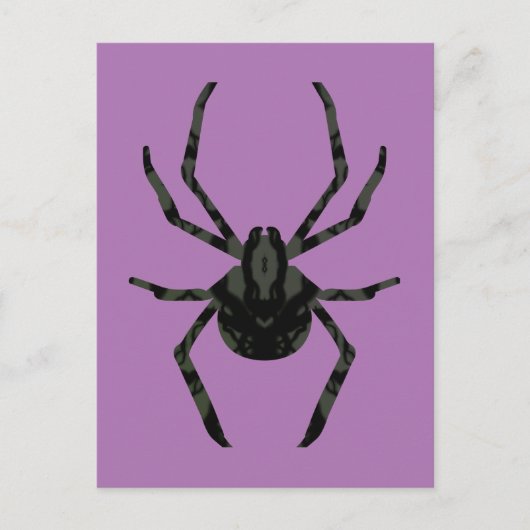 素朴な古いクモ ポストカード (正面)