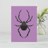 素朴な古いクモ 招待状 (スタンド正面)